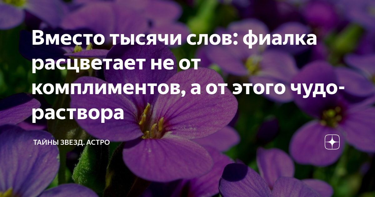 текст песни фиалка расцвела. на крылечке ноты для фортепиано. на солнечной опушке фиалка расцвела лиловенькие ушки тихонько. текст песни фиалка расцвела. казка плакала перевод на русский текст.
