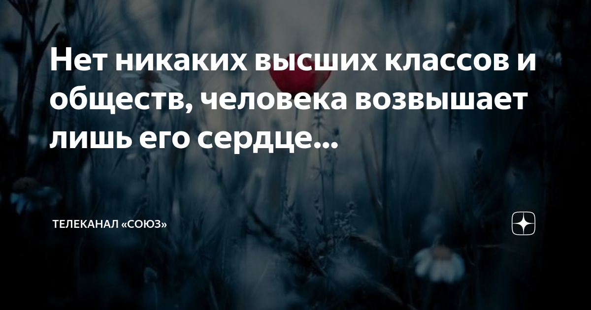 Нет никаких высших классов и обществ, человека возвышает лишь его ...