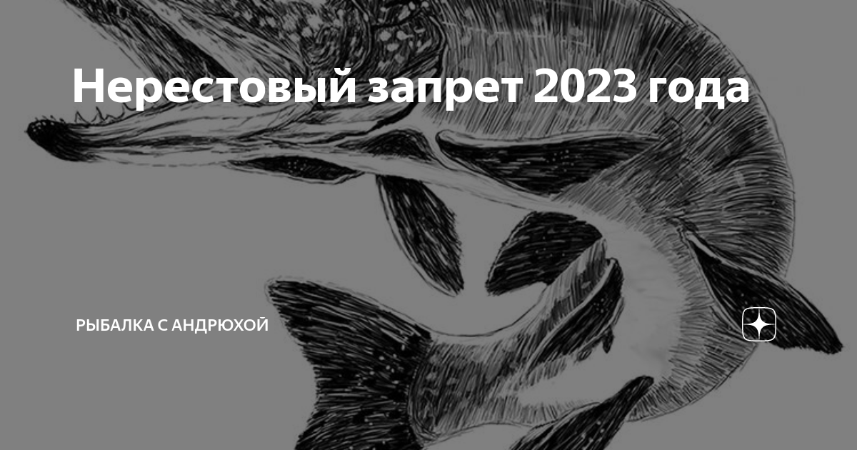 Нерестовый запрет 2024 тверская область