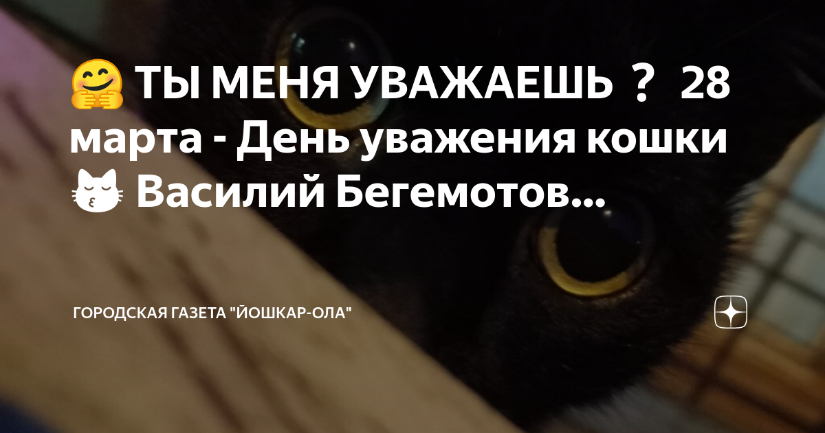 день уважения кошки