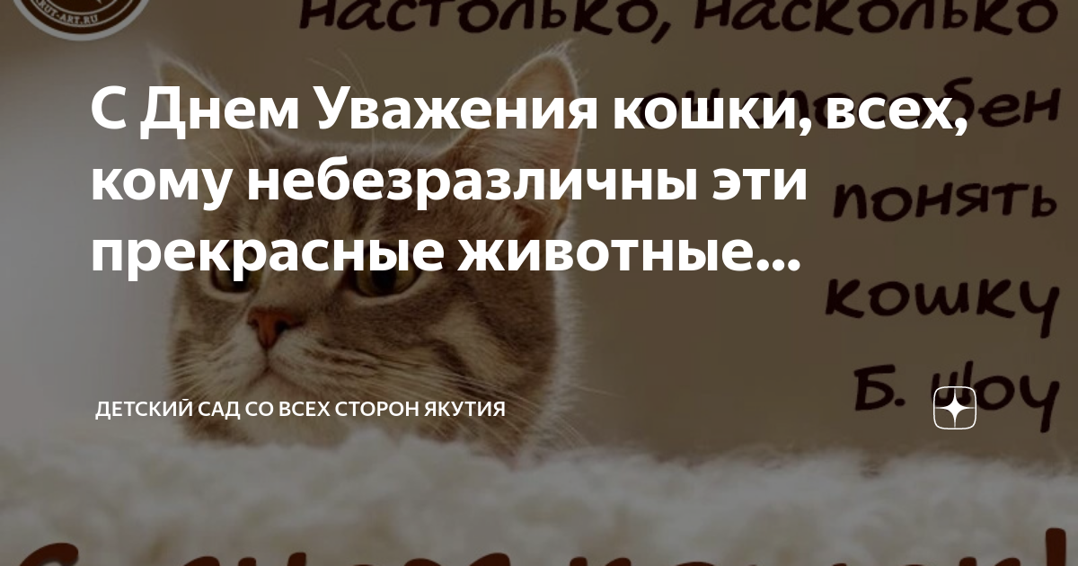 день уважения кошки