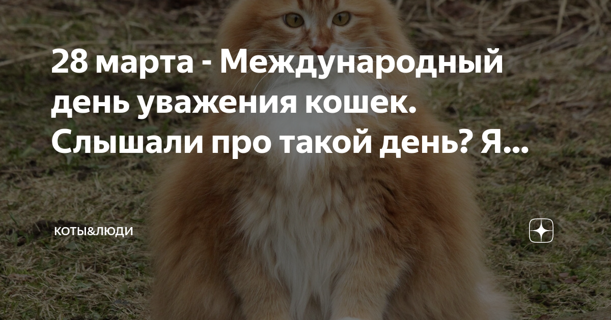день уважения кошки
