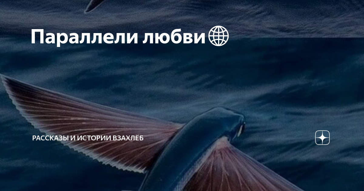Параллель любви. Параллель любви