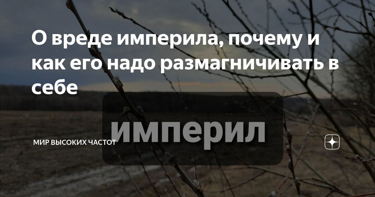 Мир высоких частот дзен
