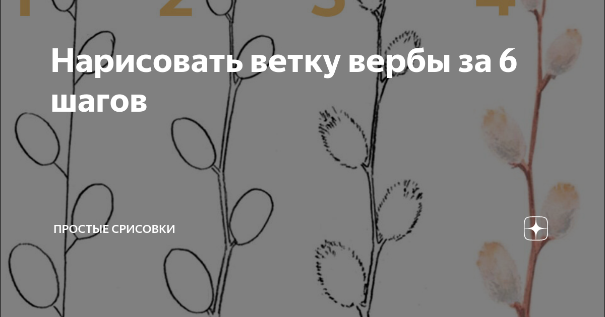 Конспект нетрадиционного рисования ватными палочками в средней группе «Веточка вербы»