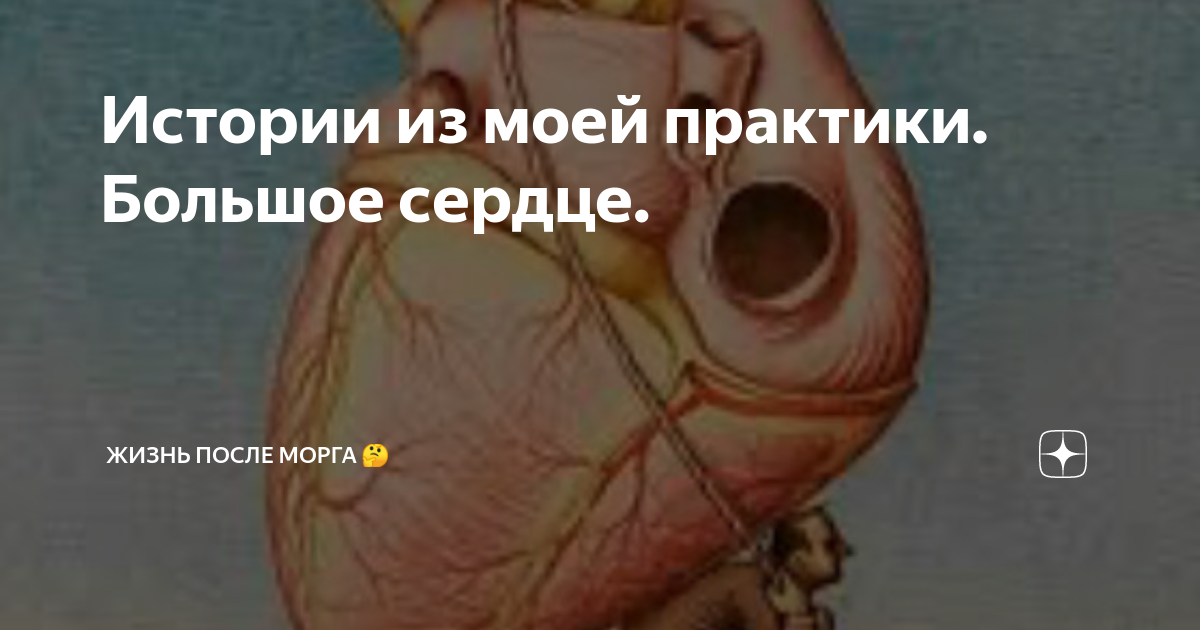 жизнь после морга дзен