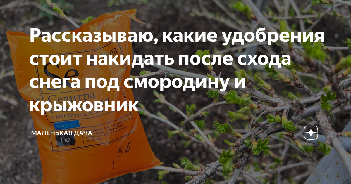 Рассказываю, какие удобрения стоит накидать после схода снега под ...