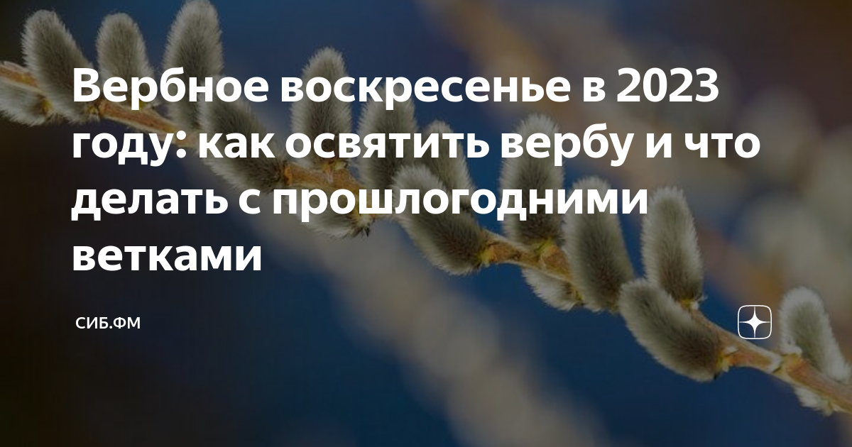 Вербное воскресенье: о чем на самом деле праздник и что делать с вербой нельзя - Российская газета