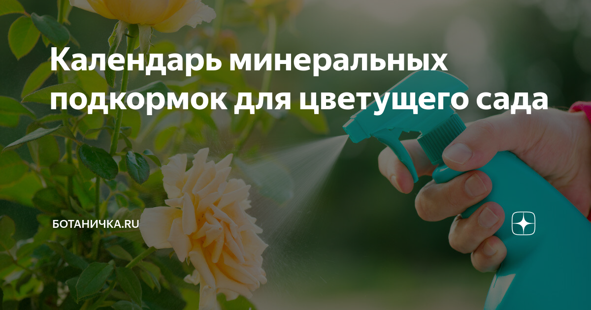 Июнь