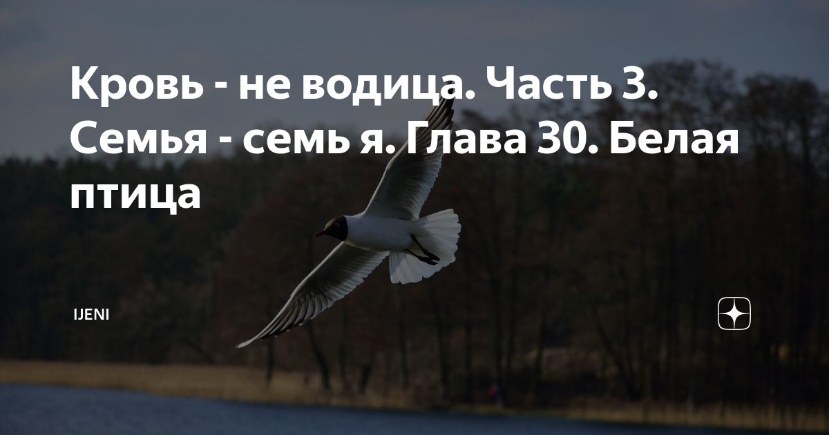 Кровь - не водица. Часть 3. Семья - семь я. Глава 30. Белая птица ...
