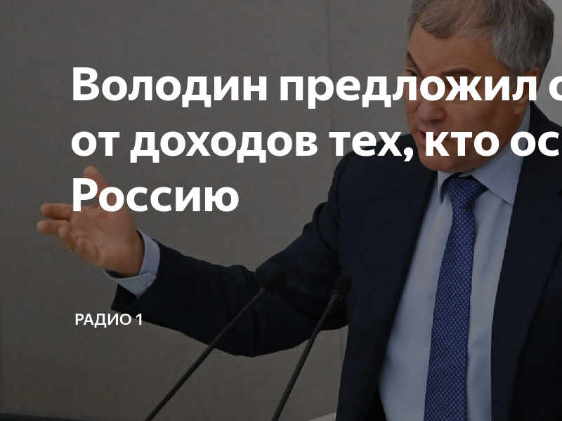 Володин предложил отрезать от доходов негодяев, оскорбляющих Россию