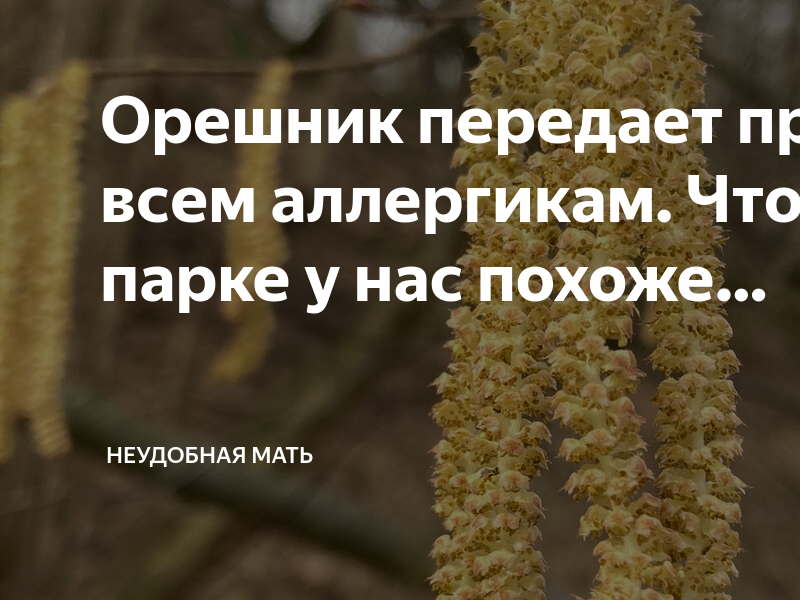 Отредактируйте предложение орешник почти отпылил