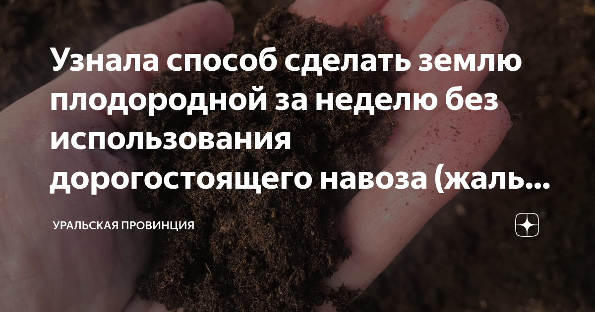 «Как весной сделать землю плодородной. Весенние работы на огороде» — Яндекс Кью