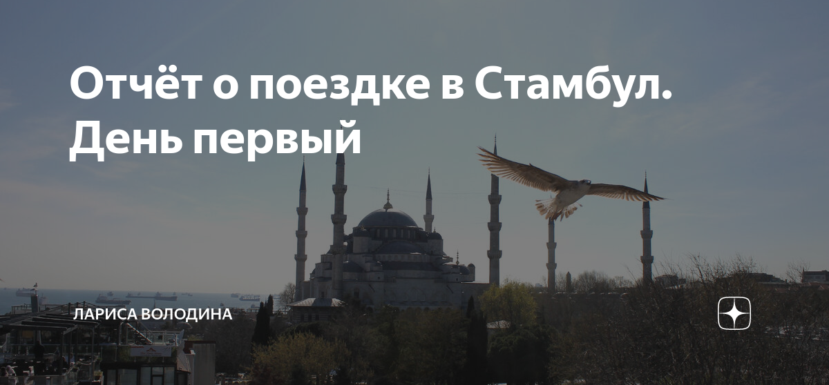 Отчёт о поездке в Стамбул. День первый | Лариса Володина | Дзен