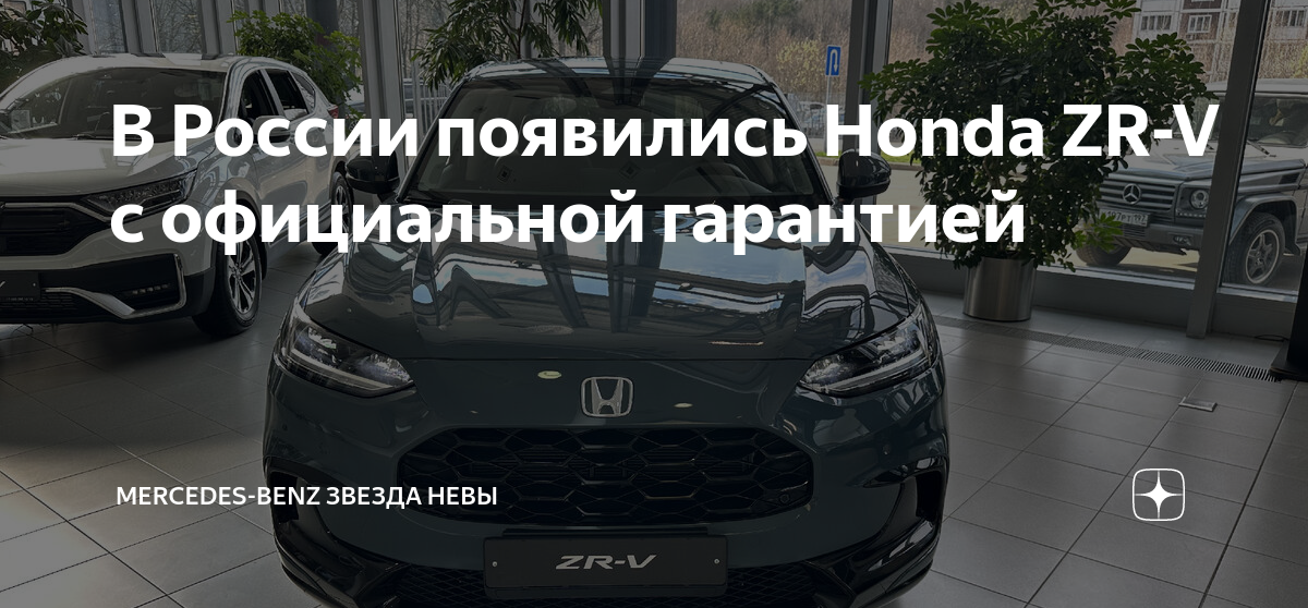 Звезда невы мерс