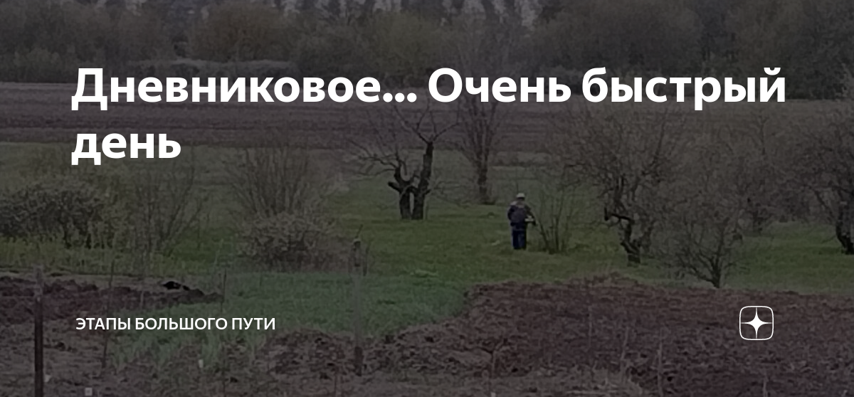 Дневниковое крымское этапы большого. Этапы большого пути дзен. Эйткин. Какие цветы в средней полосе можно посеять под зиму. Стихи о геленджике короткие.