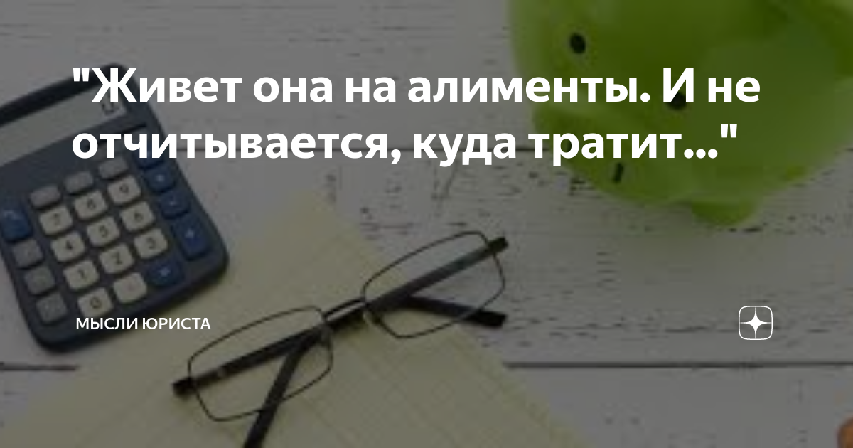 Мысли юриста дзен читать