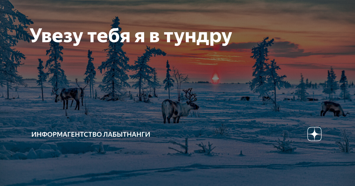 самоцветы - увезу тебя я в тундру