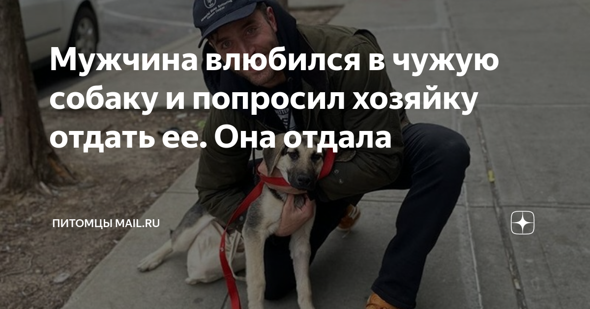как уговорить мужа завести собаку