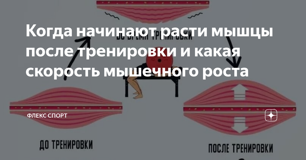�������� ���������� ���������: ����.