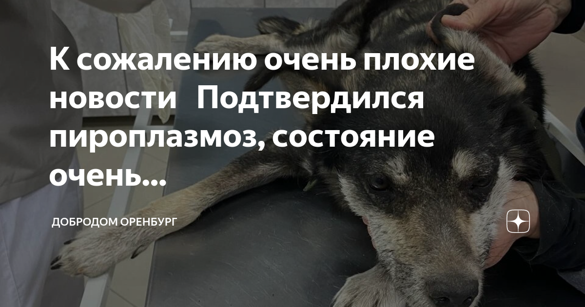 Самочувствие сегодня в москве форум плохое почему. Профилактика метеозависимости. Самочувствие сегодня в москве форум плохое почему. Самочувствие сегодня в москве форум плохое почему. Самочувствие сегодня в москве форум плохое почему.