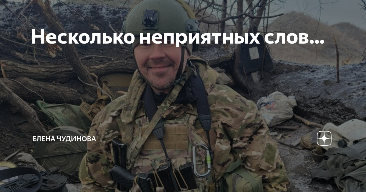 Несколько неприятных слов... | Елена Чудинова | Дзен