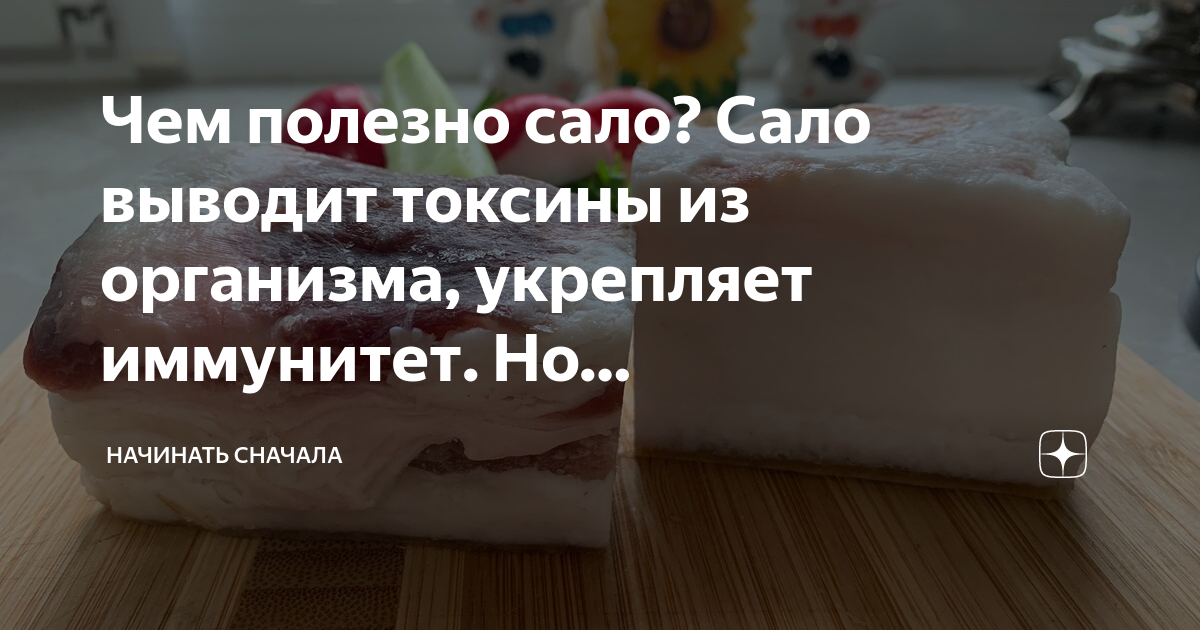 Польза сало на организм человека. Шкварки из сала польза и вред для здоровья. Чем полезен сало. Что полезного в сале. Что полезного в сале.