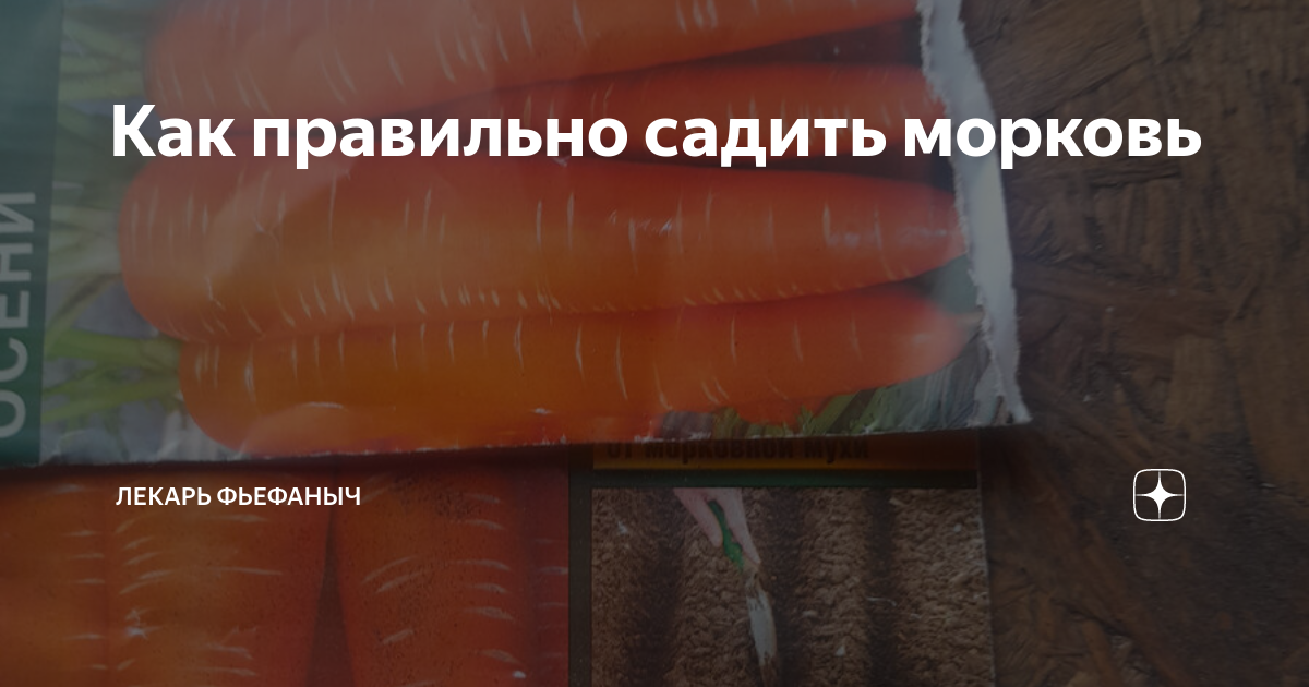 На каком расстоянии сажать морковь. А куда морковь. Посадка моркови на ленте 2 шт рядом.