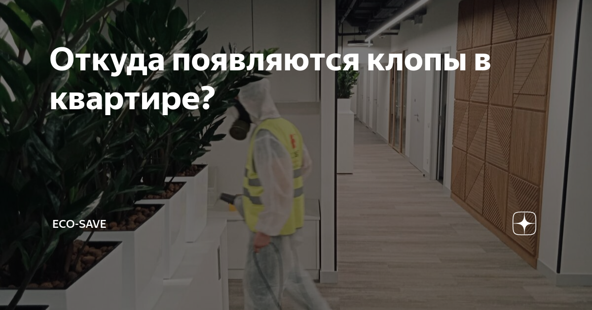 Откуда появляются клопы в квартире? | ECO-SAVE | Дзен