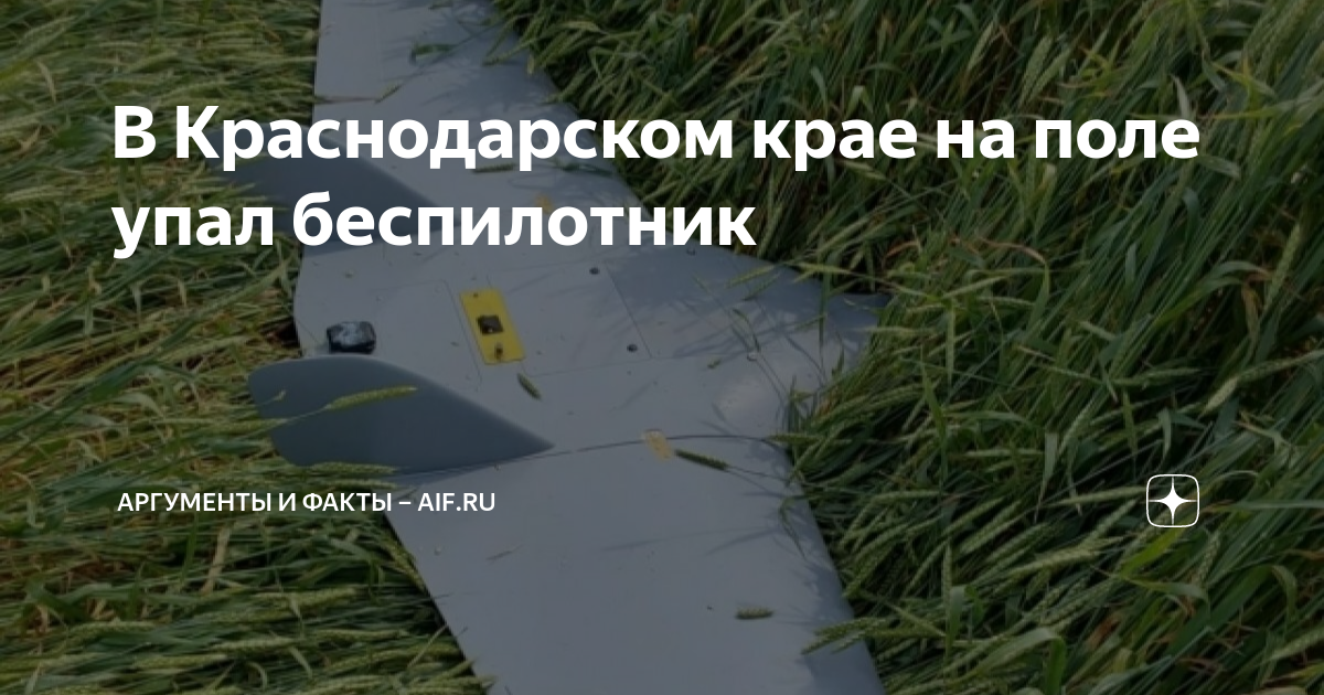 Бпла аргумент. Дроны беспилотники военные. Беспилотник в Краснодаре. Аргумент БПЛА. БПЛА В Краснодаре.