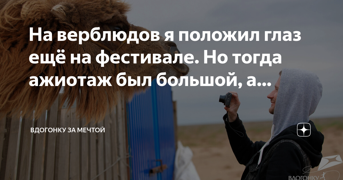 В оке не поймут