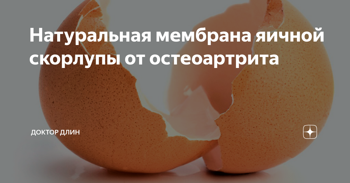 Натуральная мембрана яичной скорлупы от остеоартрита | Клиника Доктора ...