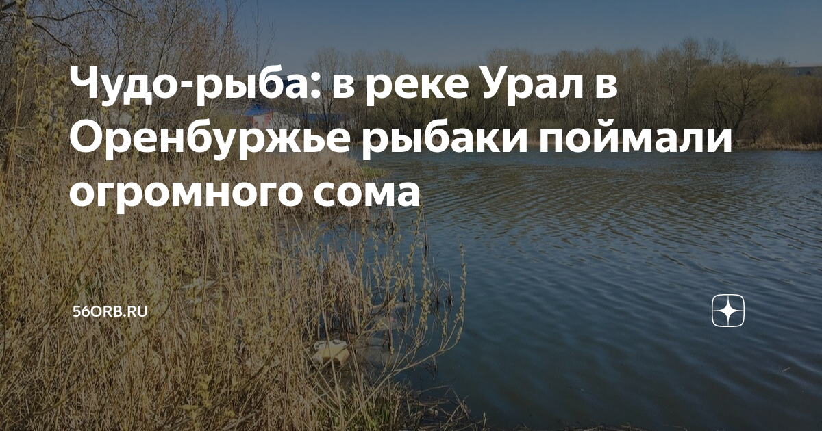 Река урал у оренбурга