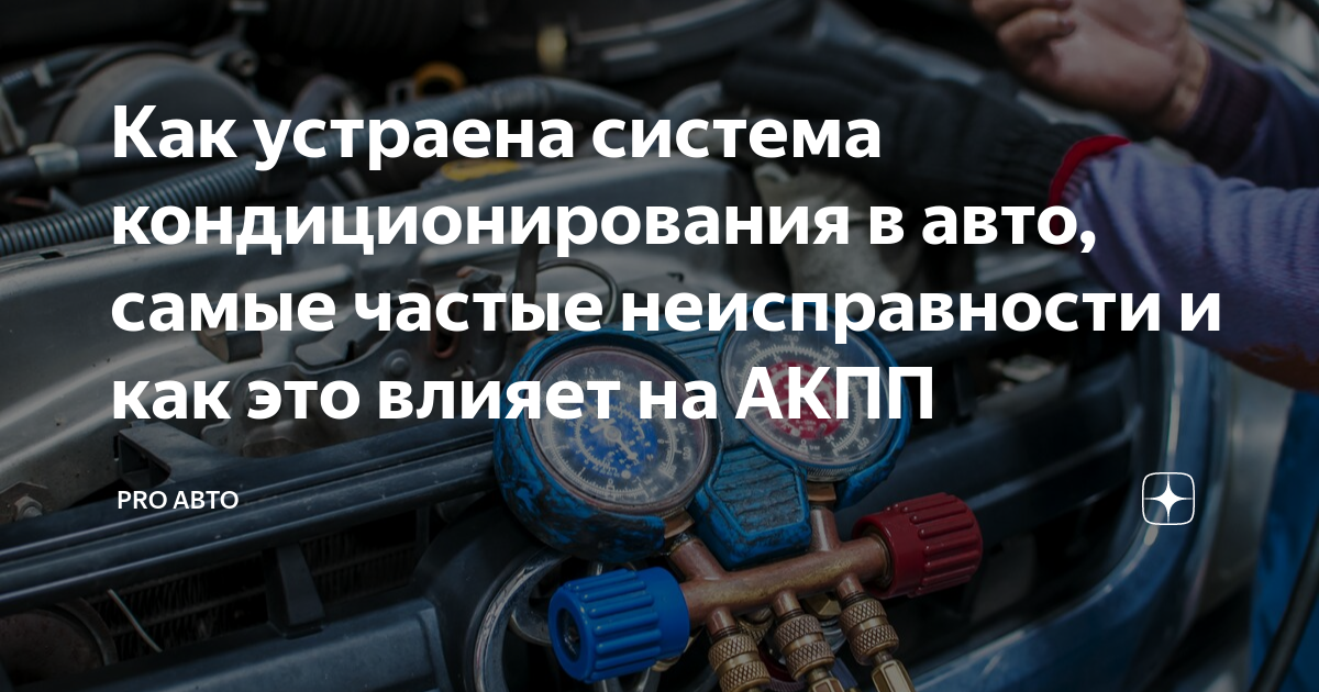 Pro авто дзен