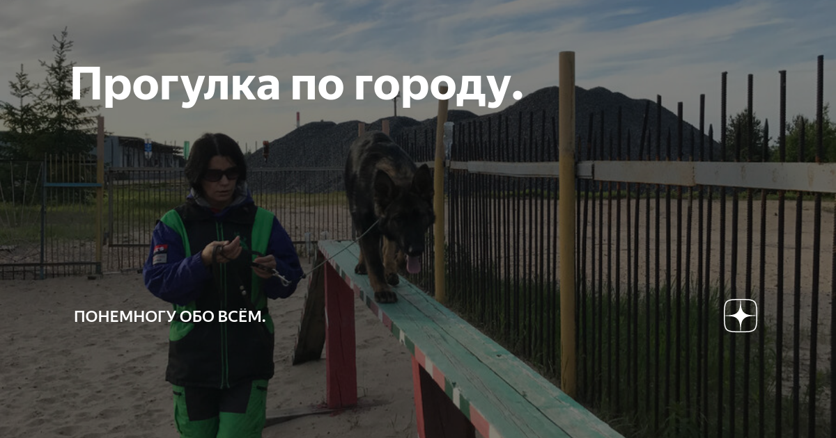 В оке не поймут