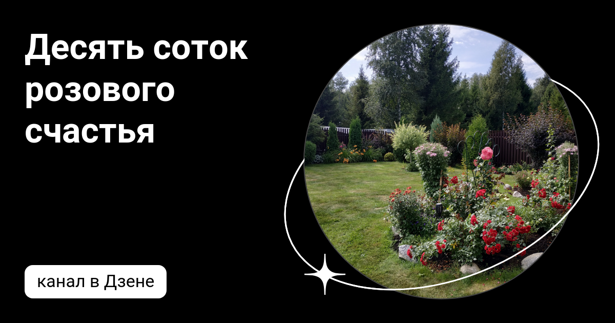 Десять соток розового счастья | Дзен