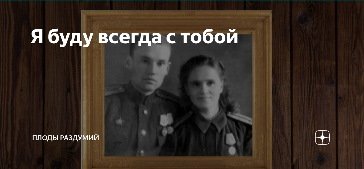 плоды раздумий дзен