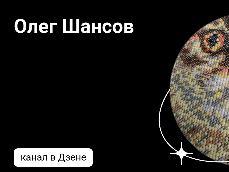 рассказ на дзен шанс