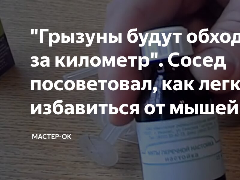 "Грызуны будут обходить дом за километр". Сосед посоветовал, как легко ...
