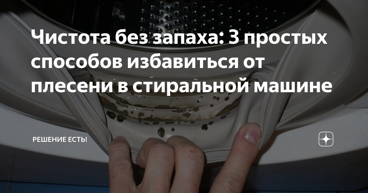 Чистота без запаха: 3 простых способов избавиться от плесени в ...