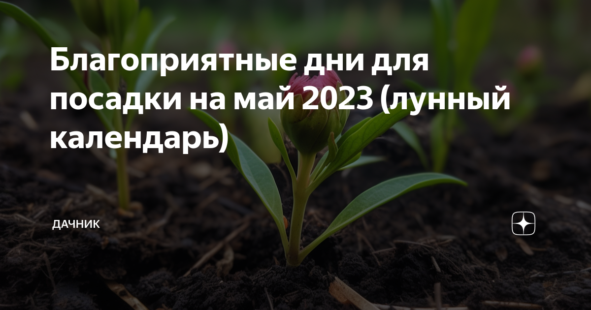 Благоприятные дни для посадки в мае 2023. Удачные дни для посадки цветов в мае 2023. Посадка рассады в мае 2023 года. Дни для посадки рассады в мае.