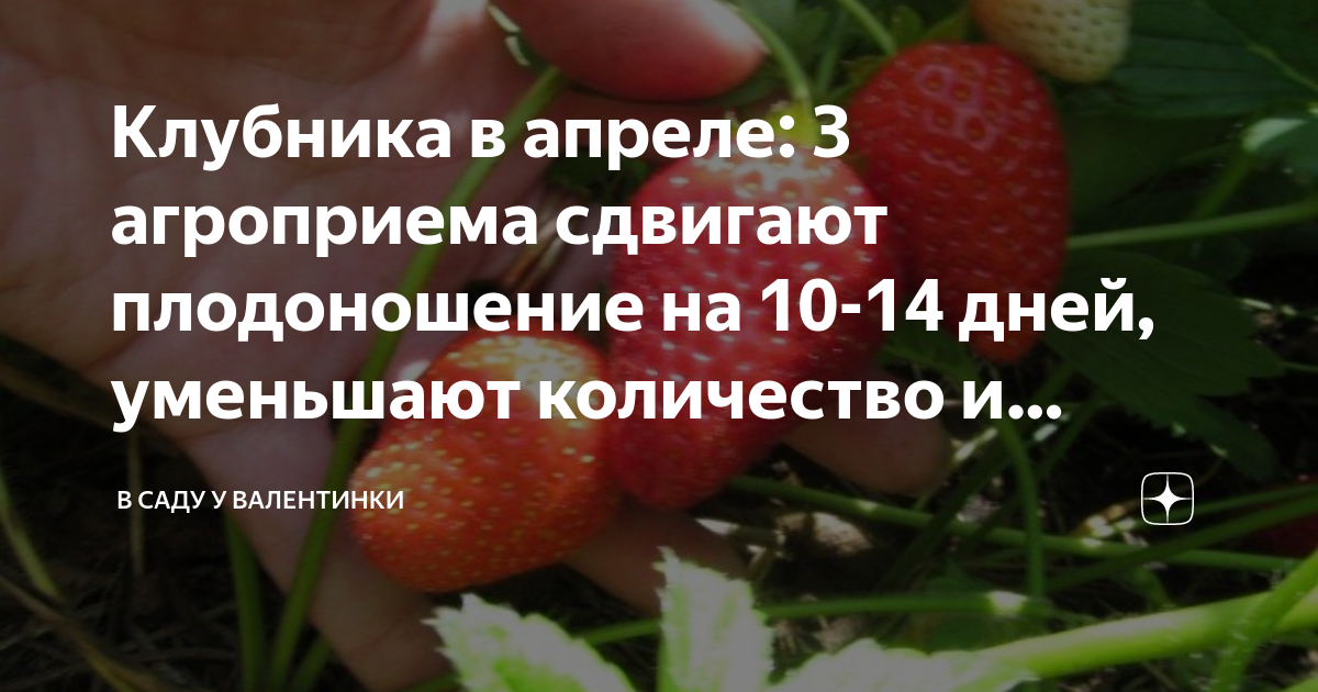 как растет хгч по дням форум
