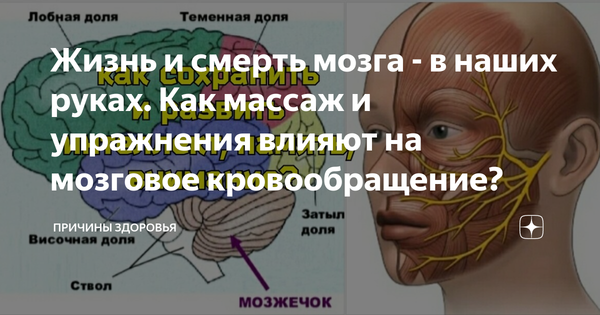 Мозг можно спасти спустя несколько дней. Воздействие электричества на мозг. Модулирующее влияние на Нейроны. Плохое кровообращение в голове.