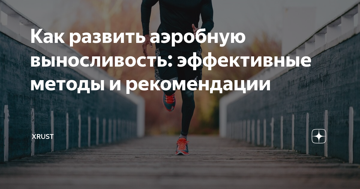 Как развить аэробную выносливость: эффективные методы и рекомендации ...