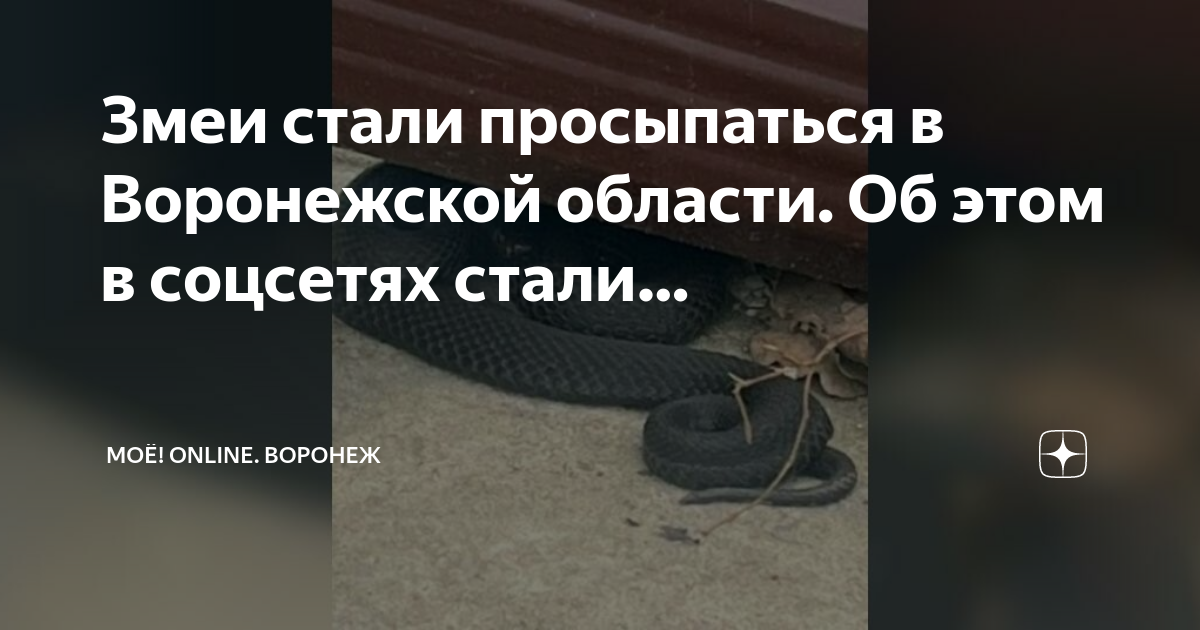 защита родины. тайчибеков о родине. стихотворение о войне. плакат ильич проснись. мужчины без женщин.