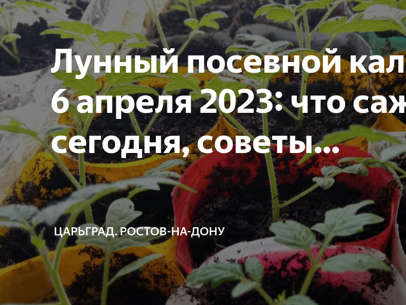 Календарь огородника на апрель 2023