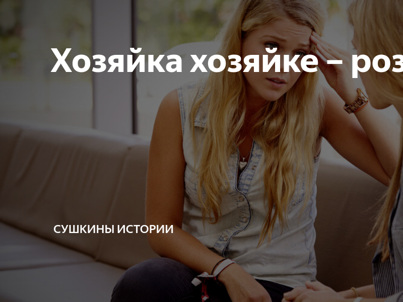 Хозяйка хозяйке – рознь | Сушкины истории | Дзен