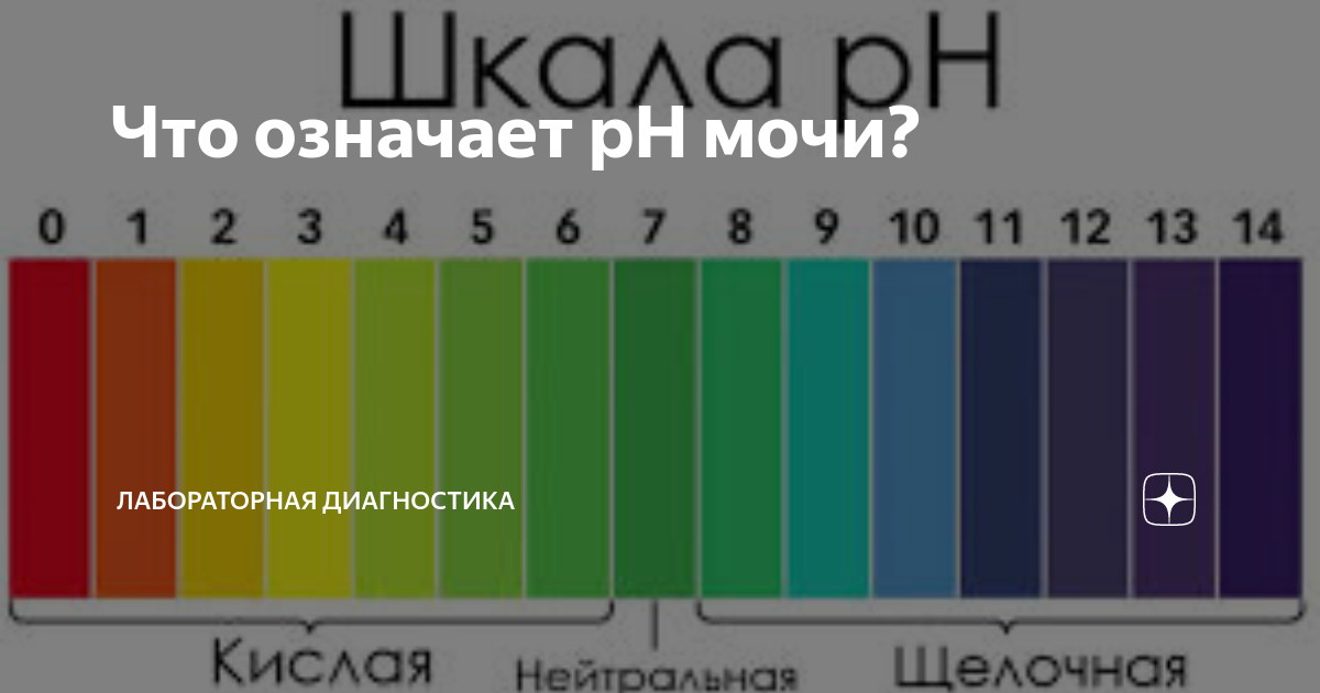 Ph мочи норма у женщин таблица Прикладные аспекты клинического применения блокаторов минералокортикоидных рецеп