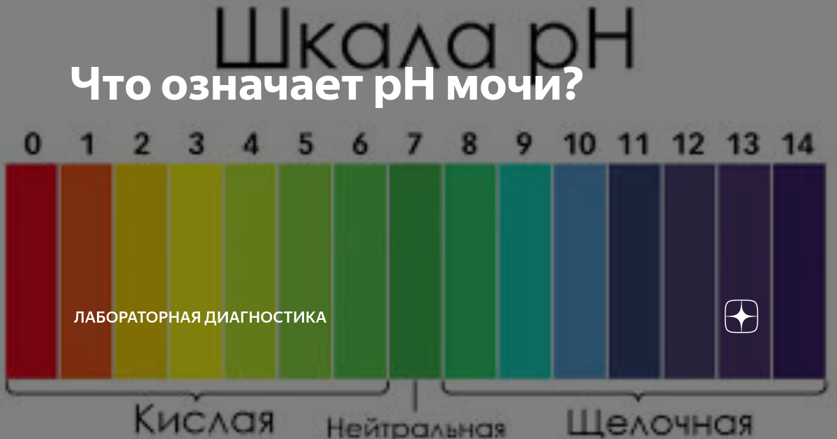 Читать книгу Расшифровка детских анализов Людмилы Лазаревой : онлайн чтение - ст