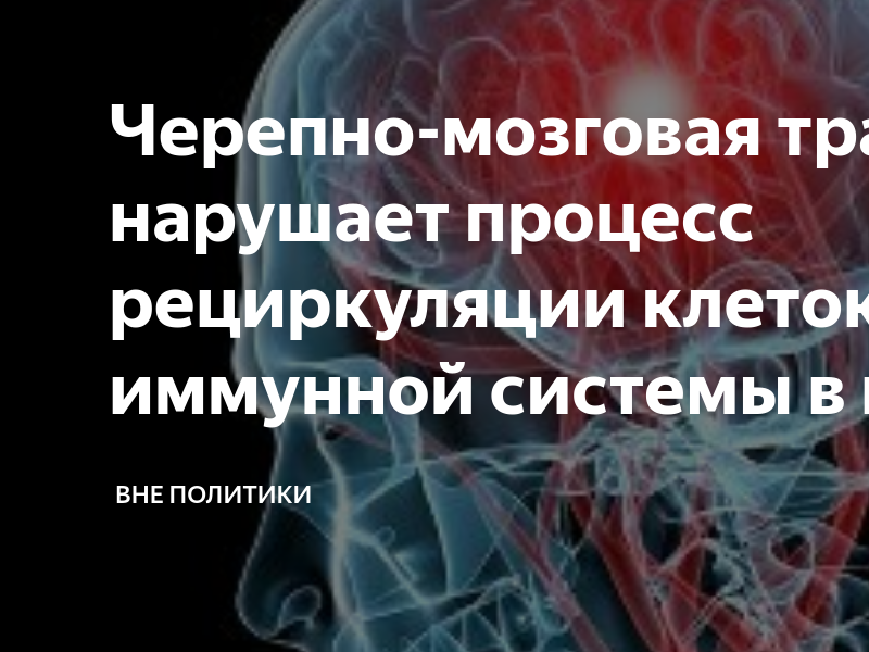 Восстановление клеток. Иммунная система патанатомия. Повреждение клеток головного мозга картинка. Уколы для восстановления клеток мозга. Иммунные клетки мозга